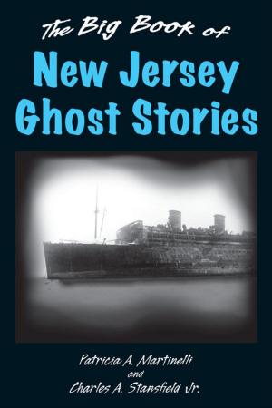 Cover of the book The Big Book of New Jersey Ghost Stories by Bradford Angier, Col. Townsend Whelen