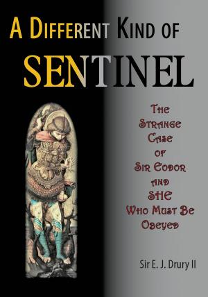 Book cover of A Different Kind of Sentinel