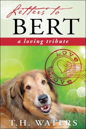 Book cover of Letters to Bert