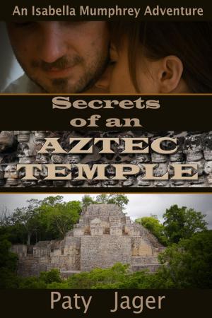Cover of the book Secrets of an Aztec Temple by Maggie Lynch