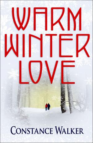 Cover of Warm Winter Love