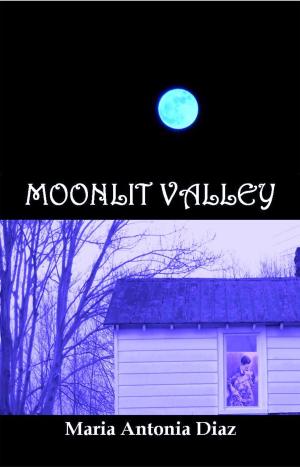 Cover of the book Moonlit Valley by Kate Pearce, Jane Charles, Elizabeth Essex