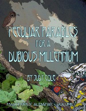 Cover of Peculiar Parables for a Dubious Millennium