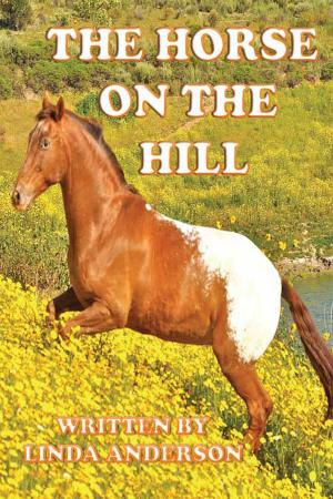 Book cover of THE HORSE ON THE HILL