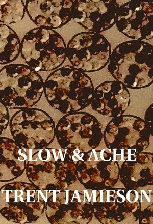 Cover of the book Slow And Ache by Michael D McAuley