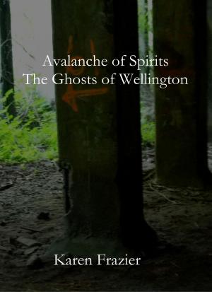 Cover of the book Avalanche of Spirits: The Ghosts of Wellington by Steven Sora