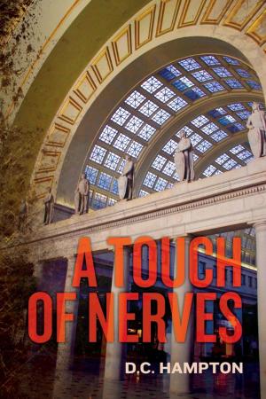 bigCover of the book A Touch of Nerves by 