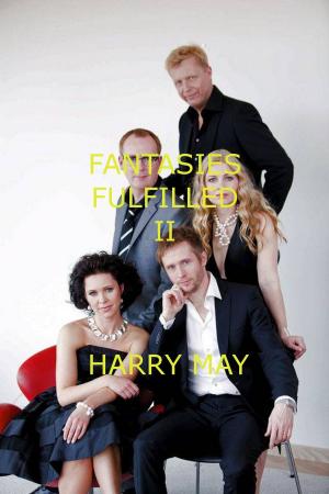 Cover of the book Fantasies Fulfilled II by Lex Hunter