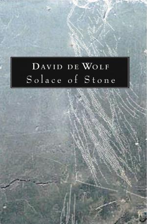 bigCover of the book Solace of Stone by 