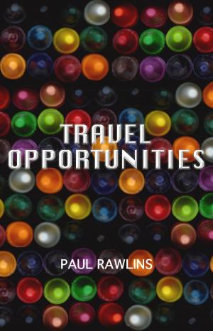 Cover of the book Travel Opportunities by Geoffrey Wakeling