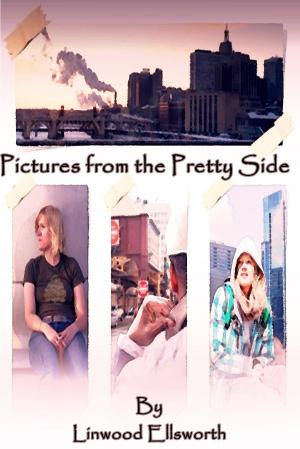 bigCover of the book Pictures from the Pretty Side by 