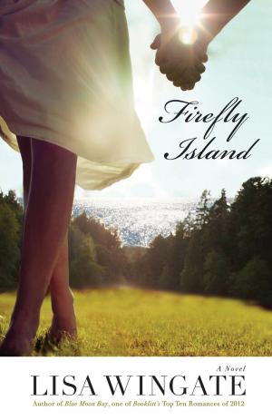 Cover of the book Firefly Island (The Shores of Moses Lake Book #3) by Linda Carroll-Bradd