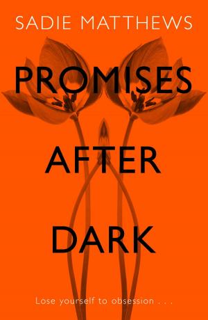 Cover of the book Promises After Dark by Irene Vartanoff