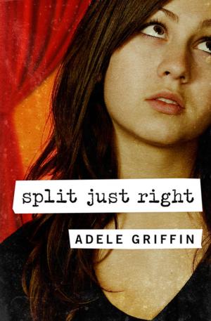 Cover of the book Split Just Right by P.A. Cybulskie
