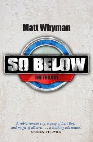 Cover of the book SO BELOW: THE TRILOGY by The Urban Griot