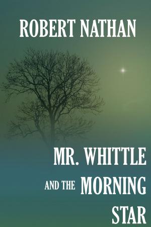 Cover of the book Mr. Whittle and the Morning Star by Mark Edward Hall