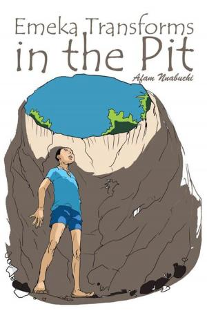 Cover of the book Emeka Transforms in the Pit by John Green