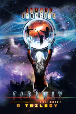 Cover of the book Faraway by Richard Gausselin