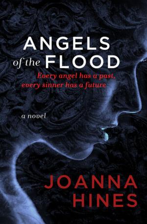 Cover of the book Angels of the Flood by Debra Ann Pawlak