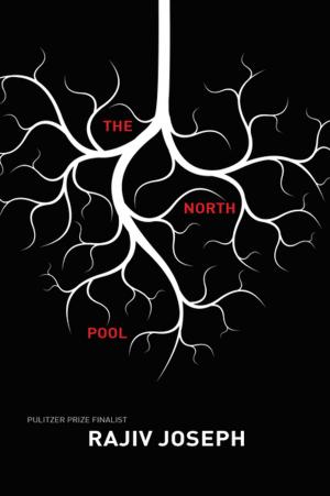 bigCover of the book The North Pool by 