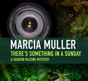 Cover of the book There's Something in a Sunday by Julie Mellon