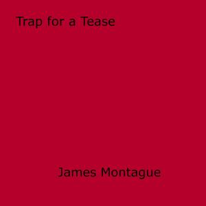 Cover of the book Trap for a Tease by Dick Allan
