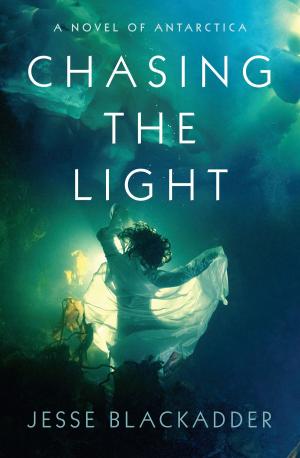 Book cover of Chasing the Light