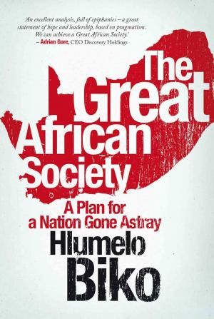 Cover of the book The Great African Society by Feyi Olubodun