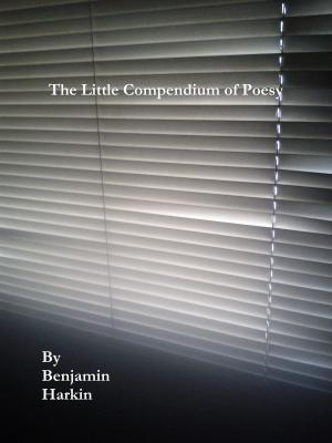 Cover of the book The Little Compendium of Poesy by Lisa Scharkow
