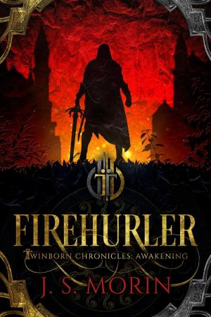 Cover of the book Firehurler by B. T. Jaybush