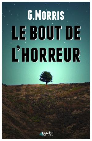 Book cover of Le bout de l'horreur