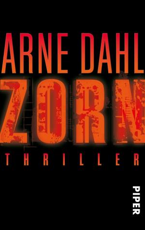 Cover of the book Zorn by Dieter Winkler, Wolfgang Hohlbein