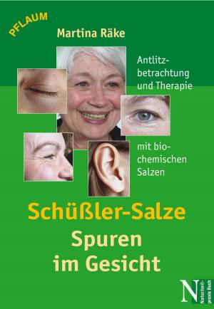 Cover of Schüßler-Salze - Spuren im Gesicht