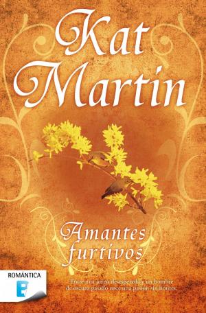 Cover of the book Amantes furtivos by Emi Gayle