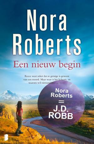 Cover of the book Een nieuw begin by Didier Decoin