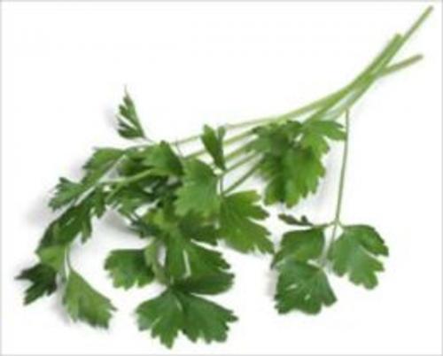 Cover of the book A Crash Course on How to Grow Parsley by Kenny Reyes, Axel Publishing