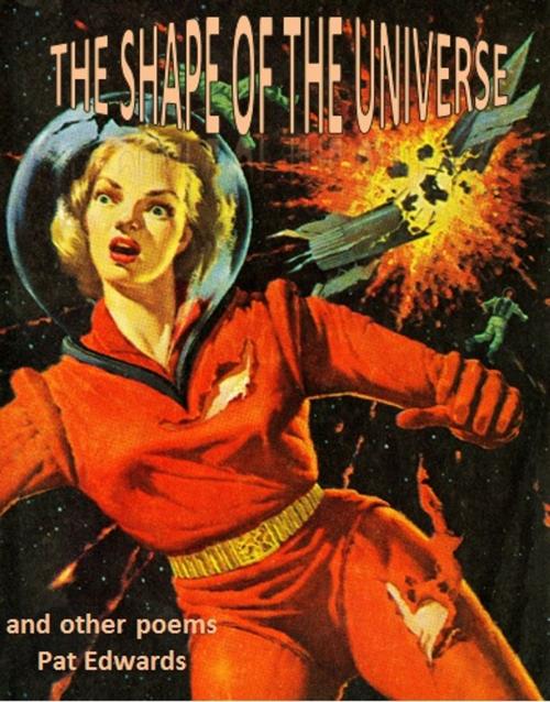 Cover of the book The Shape of the Universe by Pat Edwards, Pat Edwards