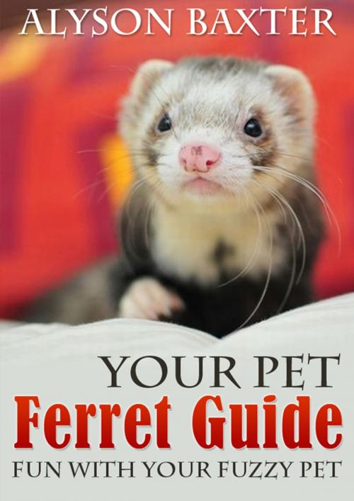 Cover of the book Your Pet Ferret Guide by Alyson Baxter, SmarteBookShop