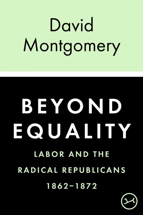 Cover of the book Beyond Equality by David Montgomery, Knopf Doubleday Publishing Group