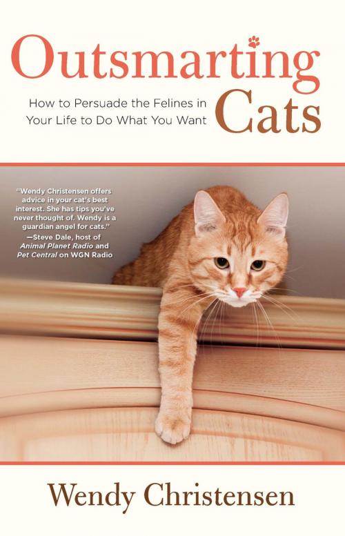 Cover of the book Outsmarting Cats by Wendy Christensen, Lyons Press