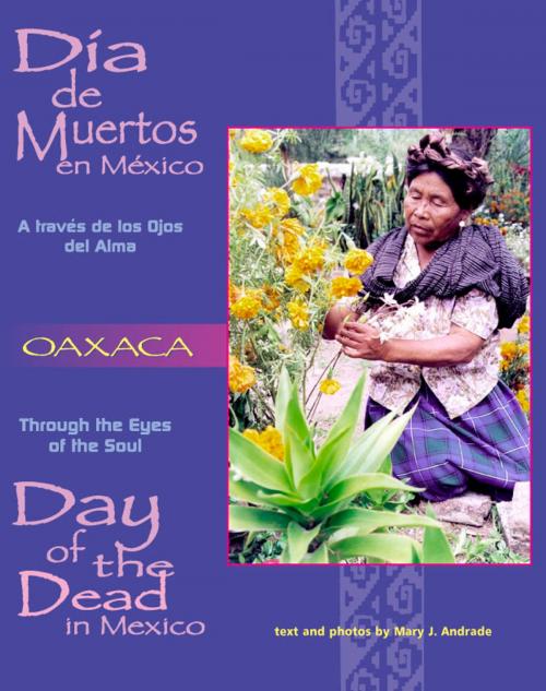Cover of the book Through the Eyes of the Soul: Oaxaca by Mary Andrade, La Oferta Publishing Company