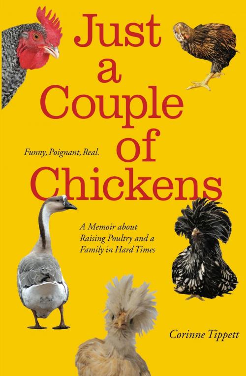 Cover of the book Just A Couple Of Chickens by Corinne Tippett, Corinne Tippett