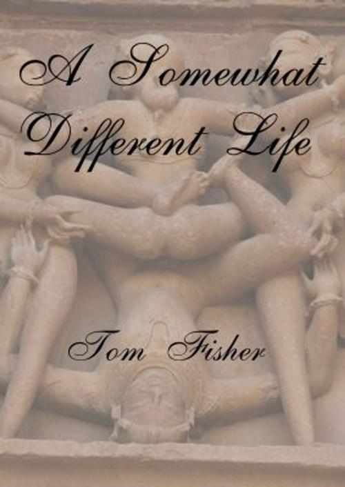 Cover of the book A Somewhat Different Life by Tom Fisher, eBooks West