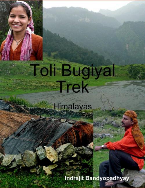 Cover of the book Toli Bugiyal Trek: Himalayas by Indrajit Bandyopadhyay, Lulu.com