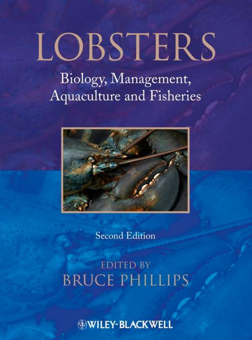 Cover of the book Lobsters by Bruce Phillips, Wiley