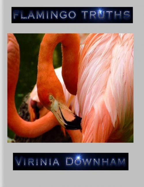 Cover of the book Flamingo Truths by Virinia Downham, Lulu.com