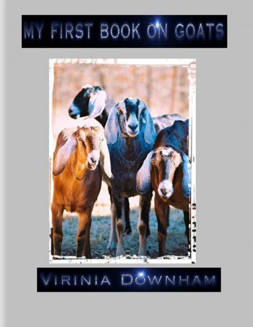 Cover of the book My First Book on Goats by Virinia Downham, Lulu.com