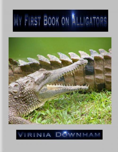 Cover of the book My First Book on Alligators by Virinia Downham, Lulu.com