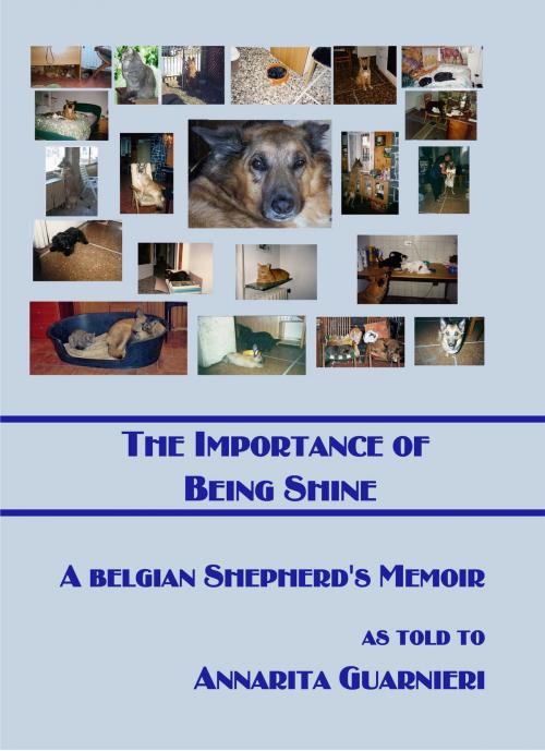 Cover of the book The Importance of Being Shine by Annarita Guarnieri, Inknbeans Press