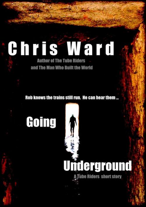 Cover of the book Going Underground by Chris Ward, AMMFA Publishing